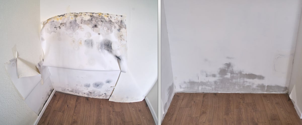 Mold remediation before and after - walls cleaned and restored after mold removal