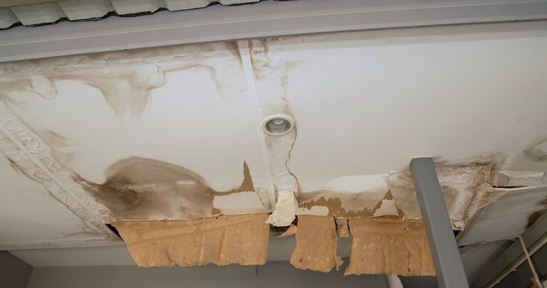Ceiling fungus from water damage