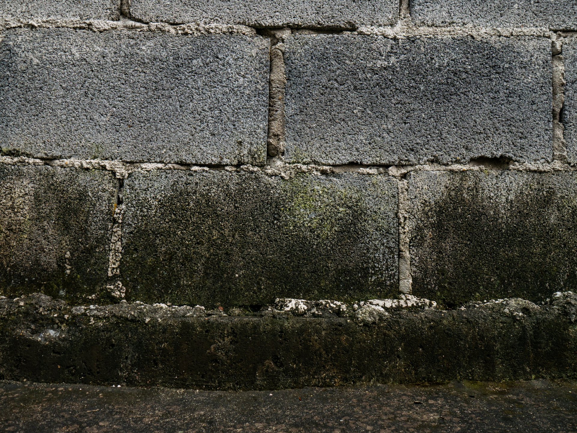 Moisture damage on concrete wall